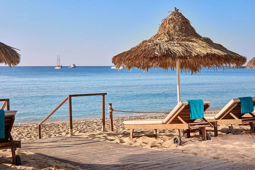 Grecian Bay Hotell Ayia Napa